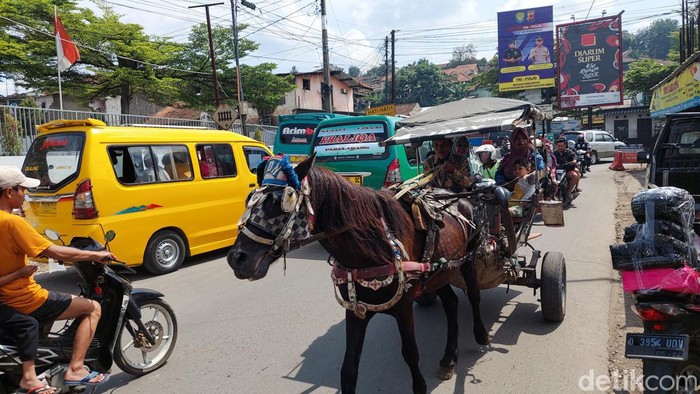 Delman di Bandung Barat.