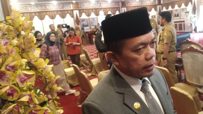 Gubernur Jambi Al Haris (Foto: Istimewa)