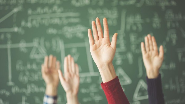 Students raised up hands green chalk board in classroom