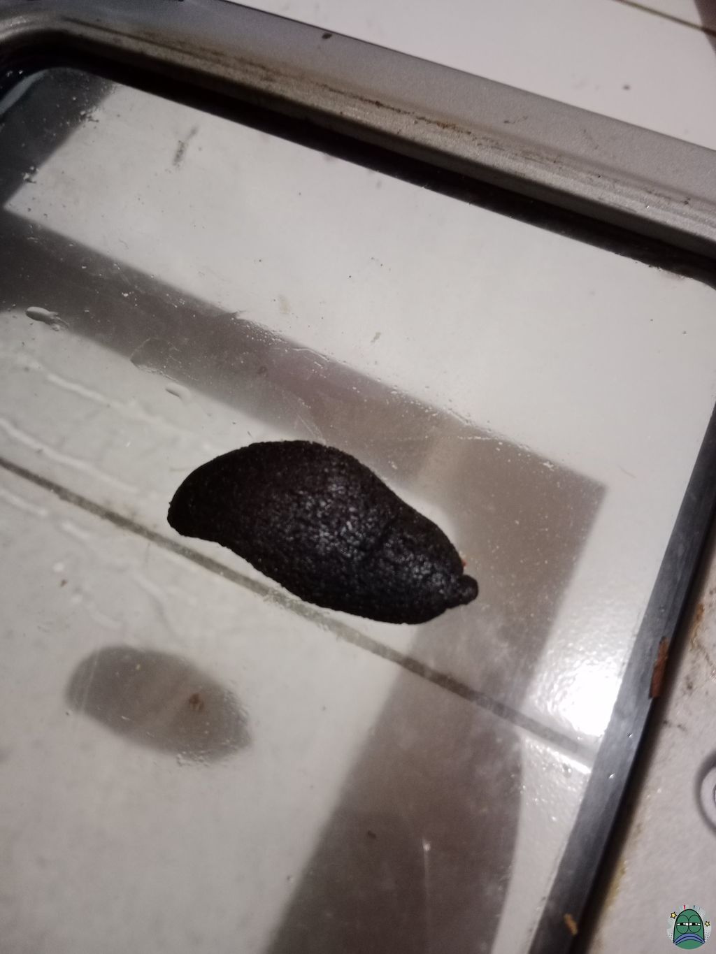 Kocak! Pertama Kali Bikin Kue Lidah Kucing Hasilnya Malah Jadi Lidah Setan
