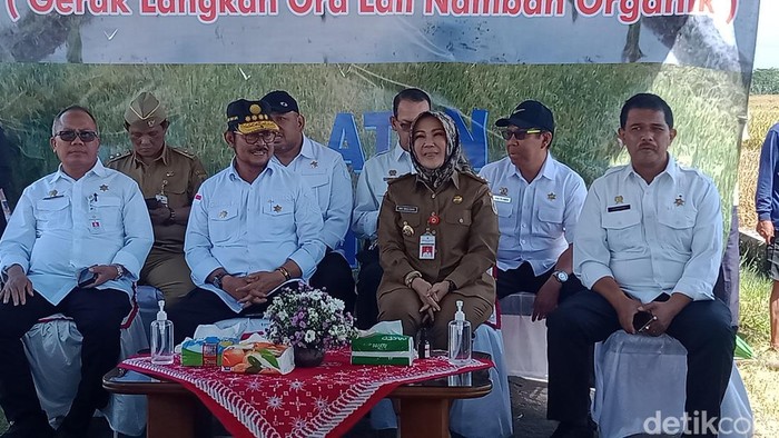 Menteri Pertanian Syahrul Yasin Limpo berdialog dengan petani di Trucuk, Klaten, Senin (10/4/2023).