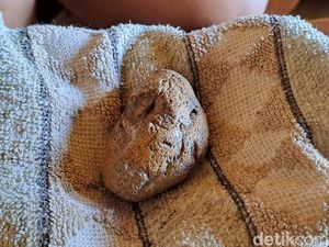Kisah Batu Petir Ponari, Dulu Obati Ribuan Orang Kini Cuma 9 Pasien