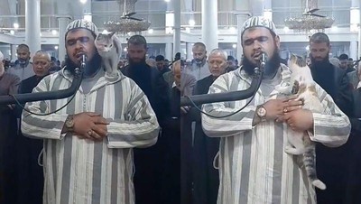 Viral Kucing Ikut Salat Tarawih, Begini Reaksi Imamnya saat Dijahili
