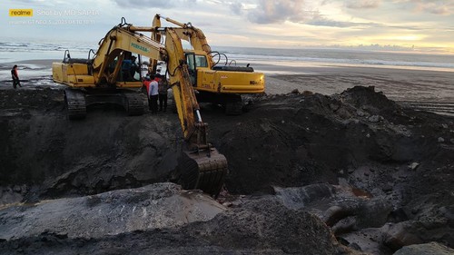 Proses penguburan paus sperma terdampar di Pantai Yeh Leh, Banjar Pengeragoan Dangin Tukad, Desa Pengeragoan, Kecamatan Pekutatan, Kabupaten Jembrana, Bali, Senin (10/4/2023).