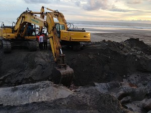 Tiga Hari Terdampar di Pantai Yeh Leh, Bangkai Paus Akhirnya Dikubur
