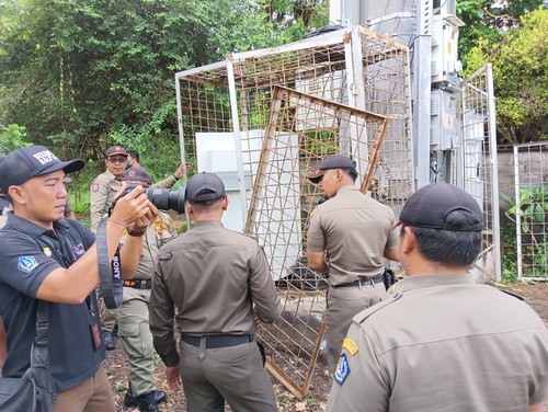 Tim Yustisi melakukan pembongkaran menara BTS bodong di Jimbaran, Senin (10/4/2023). (Triwidiyanti/detikBali)