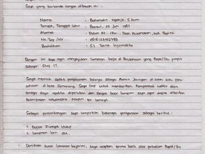 Contoh CV Tulis Tangan yang Lengkap Agar Dilirik HRD