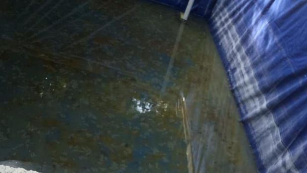 Donasi dari sahabat baik membantu usaha Parmi, korban gempa Yogyakarta yang alami disabilitas. Ia mulai beternak lele dan melanjutkan usaha empingnya.