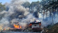Kebakaran merembet ke permukiman warga. Ratusan warga terpaksa mengungis akibat kebakaran tersebut. Yonhap/via Reuters.