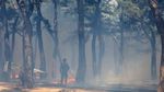 Penampakan Kobaran Api Lalap Hutan dan Permukiman di Korsel