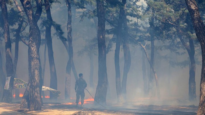 Kebakaran Hutan di Korea Selatan Kebakaran melanda hutan di Korea Selatan, Selasa (11/4/2023).