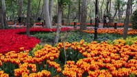 Selain itu, ruang hijaunya dirancang berdasarkan pola taman Iran yang penuh dengan pepohonan dan bunga.