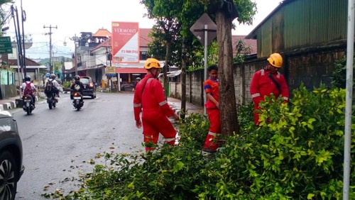 Personel BPBD Kabupaten Karangasem saat melakukan penanganan dahan pohon patah yang menimpa pengendara motor hingga luka-luka di Jalan Raya Belong, Karangasem, Bali, Selasa (11/4/2023). (istimewa)