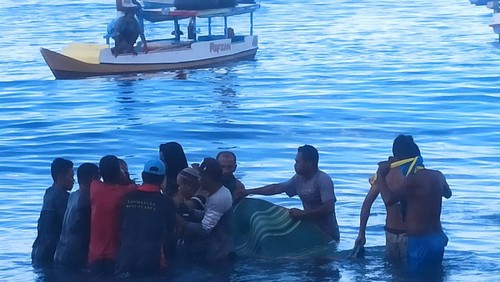 Tim SAR Gabungan evakuasi mayat Sadikin (12) setelah hilang empat hari usai tergulung ombak Pantai Baru Cincin di Ende saat memancing.