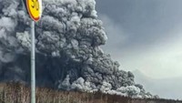 Gunung Shiveluch mengalami erupsi pada Selasa (11/4/2023) waktu setempat. Alexander Ledyayev/AP Photo.