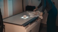 Pada awal ditemukannya, gumpalan fosil yang berbulu tersebut tidak menyerupai apapun. Namun, melalui pemeriksaan lebih dekat para peneliti berhasil melihat kaki dan cakar kecil tupai serta telinga dan ekornya. Foto: (Dok Yukon Beringia Interpretive Centre)