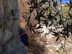 Foto Ini Terlihat Biasa Tapi Punya Cerita Tragis dan Mengerikan