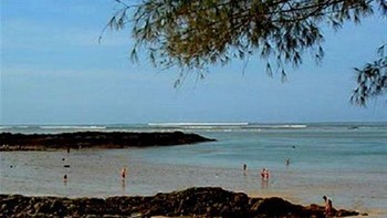 Gambar itu sebenarnya ditemukan di kamera dua wisatawan yang tersapu tsunami 2004, yang mengakibatkan lebih dari 230.000 kematian. Foto: Reddit