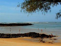 Foto Ini Terlihat Biasa Tapi Punya Cerita Tragis dan Mengerikan