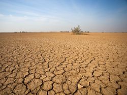 Pakar BRIN Sebut Super El Nino, El Nino 2026 Diprediksi Mengganas