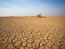 Pakar BRIN Sebut Super El Nino, El Nino 2026 Diprediksi Mengganas
