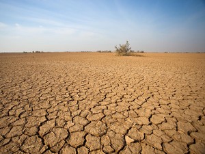 Pakar BRIN Sebut Super El Nino, El Nino 2026 Diprediksi Mengganas