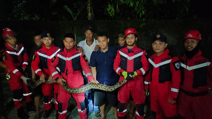 Warga di Kota Makassar, Sulawesi Selatan (Sulsel) dibuat geger dengan kemunculan seekor ular piton 3 meter.