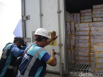 100 Ribu Ton Daging Kerbau India Bakal Banjiri RI