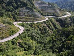 Potret Jalur Trans Sulawesi Kebun Kopi Siap Dilalui Mudik Lebaran