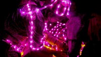 El-Dahshan dan keledainya berkeliling pemukiman dengan lampu led berwarna pink menyelimuti tubuhnya.  