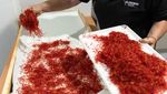 Saffron Jadi Rempah Termahal di Dunia, Harganya Puluhan Juta Per Kilogram