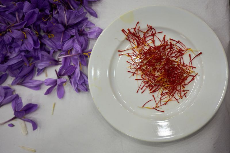 Saffon menjadi salah satu rempah yang memiliki rasa dan aroma yang unik. Saffron ini juga dijuluki sebagai rempah palin mahal di dunia.