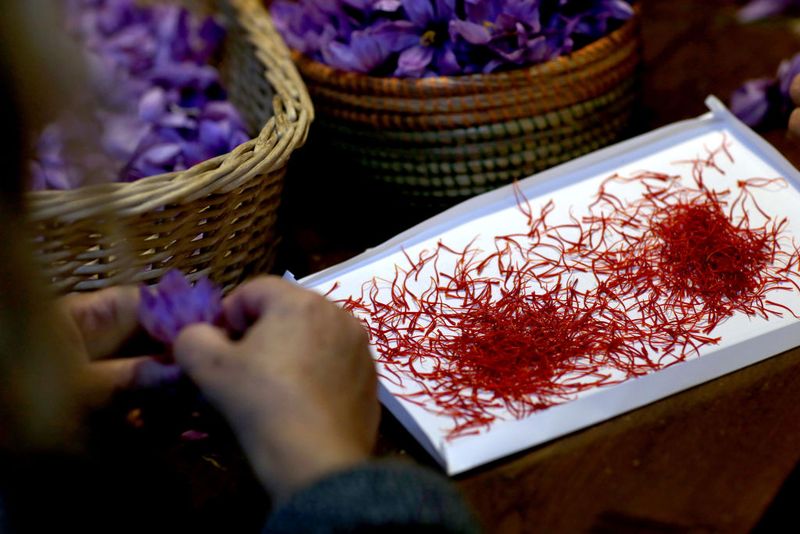 Saffon menjadi salah satu rempah yang memiliki rasa dan aroma yang unik. Saffron ini juga dijuluki sebagai rempah palin mahal di dunia.