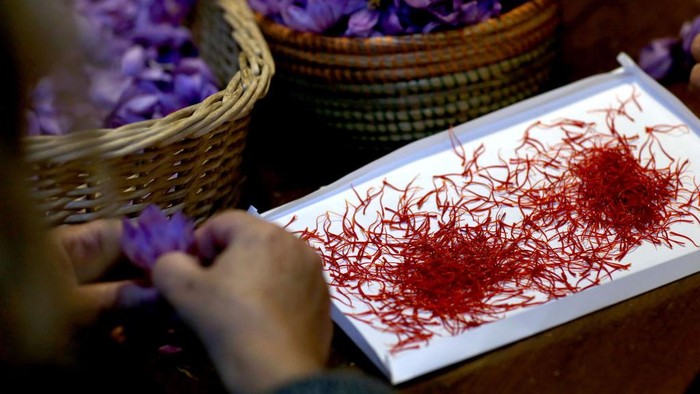 Saffon menjadi salah satu rempah yang memiliki rasa dan aroma yang unik. Saffron ini juga dijuluki sebagai rempah palin mahal di dunia.