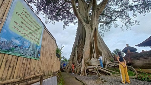 Tanda peringatan bagi pengunjung objek wisata Kayu Putih dalam bahasa Rusia yang dipasang pengurus Pura Babakan, Tabanan, Bali, Rabu (12/4/2023) siang.