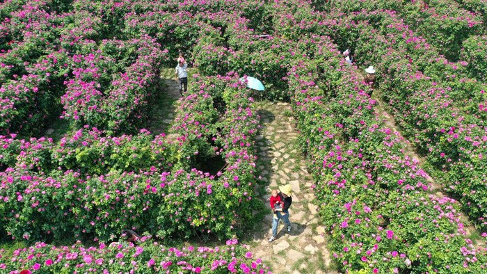 QIANXINAN, CHINA - APRIL 11, 2023 - Aerial photo taken on April 11, 2023 shows tourists play in the 