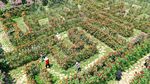 Lanskap Taman Labirin yang Indah di Qianxinan