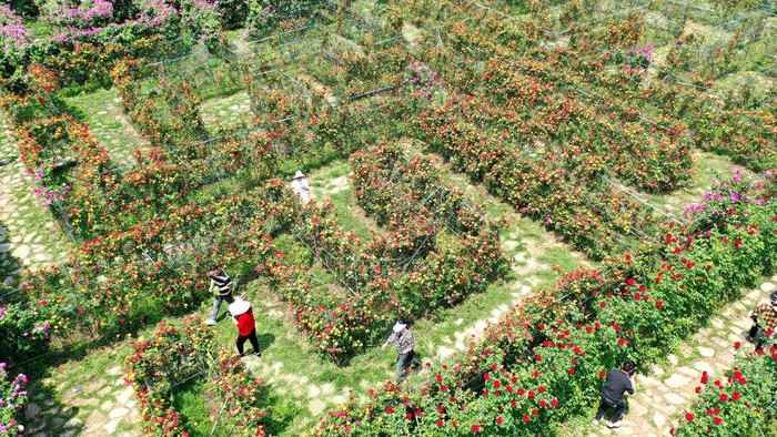 QIANXINAN, CHINA - APRIL 11, 2023 - Aerial photo taken on April 11, 2023 shows tourists play in the 