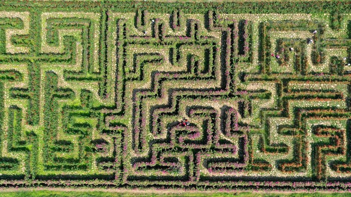 1251494734 QIANXINAN, CHINA - APRIL 11, 2023 - Aerial photo taken on April 11, 2023 shows tourists play in the