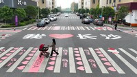 Zebra Cross tidak biasa itu memiliki pola hati berwarna merah menyala.