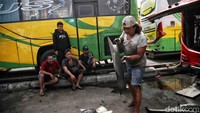 Sejumlah kernet membersihkan bus di kawasan Terminal Pulogebang, Cakung, Jakarta Timur, Kamis (13/4/2023). Kegiatan bersih-bersih bus ini rutin dilakukan oleh mereka untuk menyambut penumpang mudik 2023.  