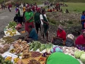 KKB Teror Warga Intan Jaya hingga Larang Emak-emak Jualan Hasil Kebun