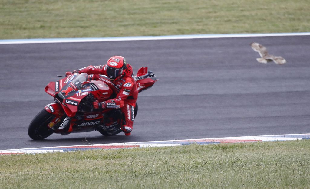 MotoGP - Argentina Grand Prix - Autodromo Termas de Rio Hondo, Santiago del Estero, Argentina - April 1, 2023 Ducati Lenovo Team's Francesco Bagnaia during qualifying REUTERS/Agustin Marcarian