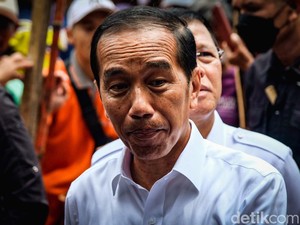 Jokowi Sumbang Sapi Simental 1,2 Ton ke Masjid Istiqlal Jakarta