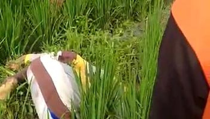Petani di Bojonegoro ditemukan tewas dengan kondisi sujud