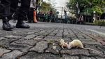 Potret Demo Ricuh di Kantor Ganjar Pranowo