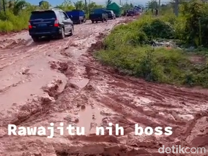 Jokowi Ikut Pelototi Jalan Lampung Rusak yang Viral, Besok ke Lokasi