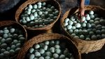 Produksi Telur Asin Brebes Meningkat 3 Kali Lipat Jelang Arus Mudik