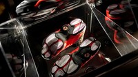 Sepatu merek Nike tersebut yang dinamai Bred Air Jordan 13 dipakai oleh Michael Jordan dalam pertandingan kedua pada putaran final NBA tahun 1998 antara klub Chicago Bulls melawan Utah Jazz. Jordan yang menjadi tulang punggung Bulls membawa klub tersebut merebut gelar keenam NBA yang merupakan gelar terakhir baginya.  