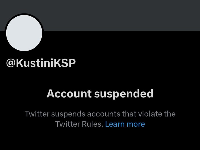 Tampilan akun Twitter Bupati Sleman, Kustini Sri Purnomo, yang ditangguhkan atau kena suspend, Kamis (13/4/2023).